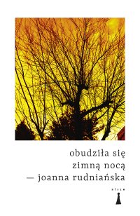 Obudziła się zimną nocą - Joanna Rudniańska - ebook