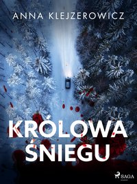 Królowa śniegu - Anna Klejzerowicz - ebook