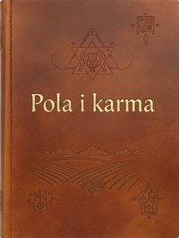 Pole i Karma - Przewodnik przepływu energii w Życiu - Jan Kuncewicz - ebook