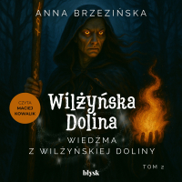 Wiedźma z Wilżyńskiej Doliny - Anna Brzezińska - audiobook