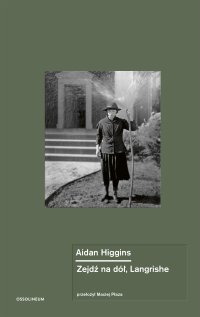 Zejdź na dół, Langrishe - Aidan Higgins - ebook