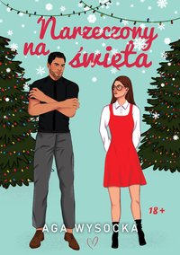 Narzeczony na święta - Aga Wysocka - ebook