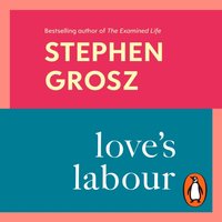 Love's Labour - Stephen Grosz - audiobook