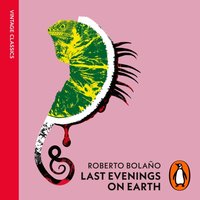 Last Evenings On Earth - Roberto Bolano - audiobook