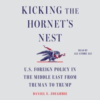 Kicking the Hornet's Nest - Daniel E Zoughbie - audiobook