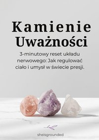 Kamienie Uważności. 3-minutowy reset układu nerwowego: Jak regulować ciało i umysł w świecie presji. - Ewa Sig - ebook