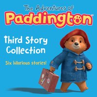 Third Story Collection - Paul Panting - audiobook