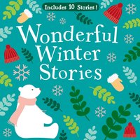 WONDERFUL WINTER STORIES - Opracowanie zbiorowe - audiobook