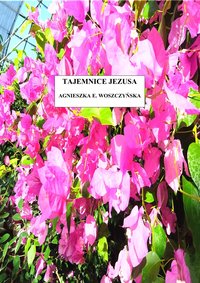 Tajemnice Jezusa (Część 2) - Agnieszka E. Woszczyńska - ebook