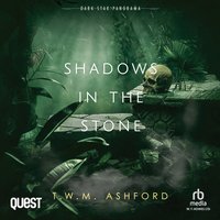 Shadows in the Stone - T. W. M. Ashford - audiobook