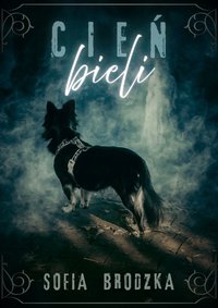 Cień bieli - Sofia Brodzka - ebook