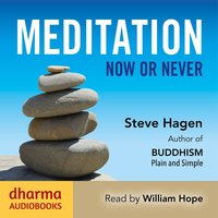 Meditation Now or Never - Steve Hagen - audiobook