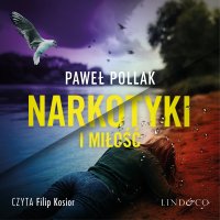 Narkotyki i miłość - Paweł Pollak - audiobook
