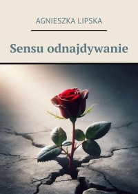 Sensu odnajdywanie - Agnieszka Lipska - ebook
