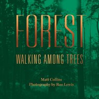 Forest - Matt Collins - audiobook