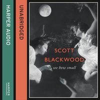See How Small - Scott Blackwood - audiobook