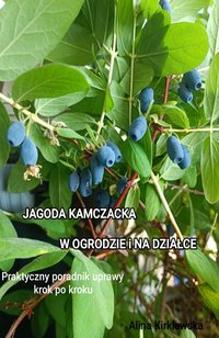 Jagoda kamczacka w ogrodzie i na działce - Alina Kirklewska - ebook