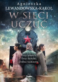 W sieci uczuć - Agnieszka Lewandowska-Kąkol - ebook