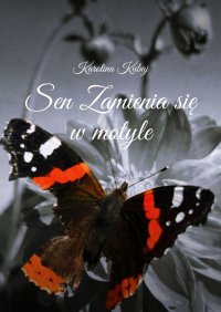 Sen Zamienia się w motyle - Karolina Kubaj - ebook