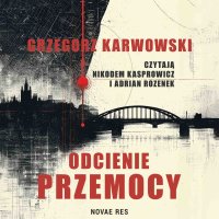 Odcienie przemocy - Grzegorz Karwowski - audiobook