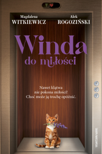 Winda do miłości - Magdalena Witkiewicz - ebook