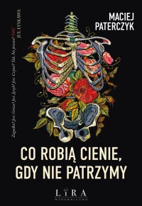 Co robią cienie, gdy nie patrzymy - Maciej Paterczyk - ebook