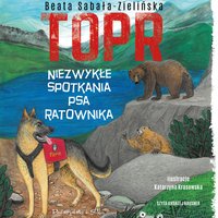 TOPR. Niezwykłe spotkania psa ratownika - Beata Sabała-Zielińska - audiobook