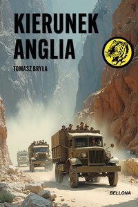 Kierunek Anglia - Tomasz Bryła - ebook