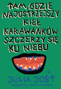 Tam, gdzie najostrzejszy kieł Karawanków szczerzy się ku niebu - Julia Jost - ebook
