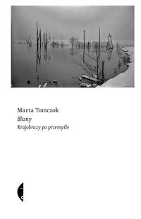 Blizny - Marta Tomczok - ebook