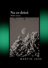 Na co dzień - Martin Jose - ebook