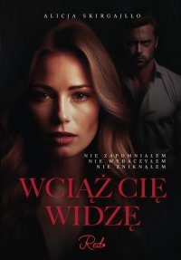Wciąż cię widzę - Alicja Skirgajłło - ebook