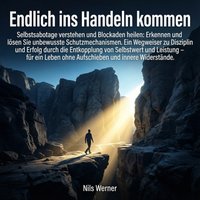Endlich ins Handeln kommen - Werner Nils Werner - audiobook