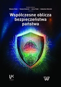 Współczesne oblicza bezpieczeństwa państwa - Sebastian Sikorski prof. UKSW - ebook