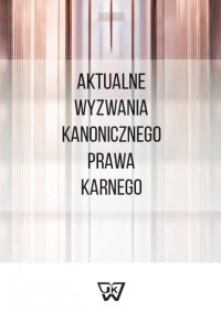 Aktualne wyzwania kanonicznego prawa karnego - Saj Marek - ebook