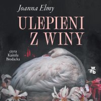 Ulepieni z winy - Joanna Elmy - audiobook