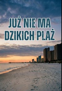 Już nie ma dzikich plaż - Bruno Blonski - ebook