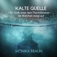 Kalte Quelle - Braun Monika Braun - audiobook