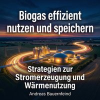 Biogas effizient nutzen und speichern - Bauernfeind Andreas Bauernfeind - audiobook