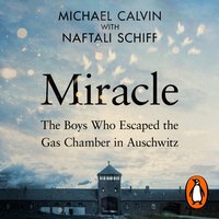 Miracle - Naftali Schiff - audiobook