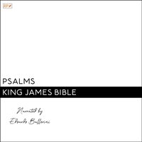 Psalms - King James Bible - audiobook