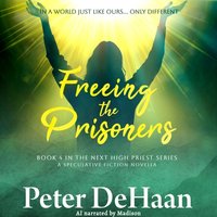 Freeing the Prisoners - DeHaan Peter DeHaan - audiobook