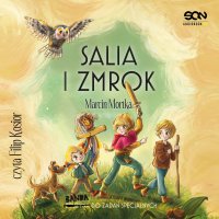 Salia i Zmrok - Marcin Mortka - audiobook