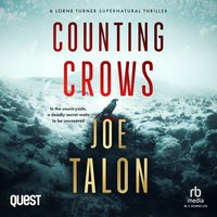 Counting Crows - Joe Talon - audiobook