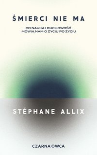 Śmierci nie ma - Stephane Allix - ebook