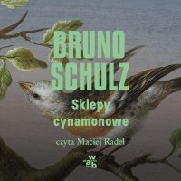 Sklepy cynamonowe - Bruno Schulz - audiobook