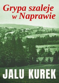 Grypa szaleje w Naprawie - Jalu Kurek - ebook
