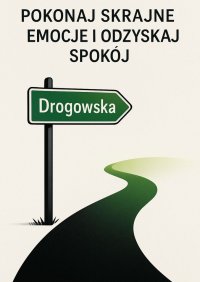 Pokonaj skrajne emocje i odzyskaj spokój - Jolanta Drogowska - ebook