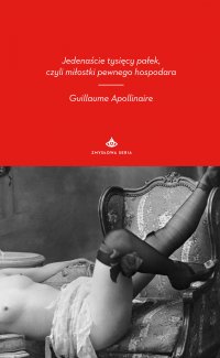 Jedenaście tysięcy pałek, czyli miłostki pewnego hospodara - Guillaume Apollinaire - ebook