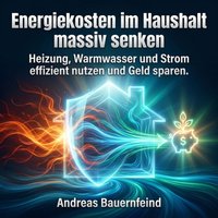 Energiekosten im Haushalt massiv senken - Bauernfeind Andreas Bauernfeind - audiobook